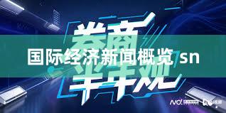 国际经济新闻概览 sn