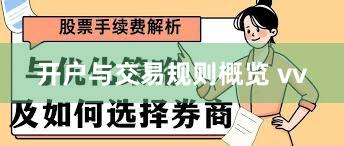 开户与交易规则概览 vv